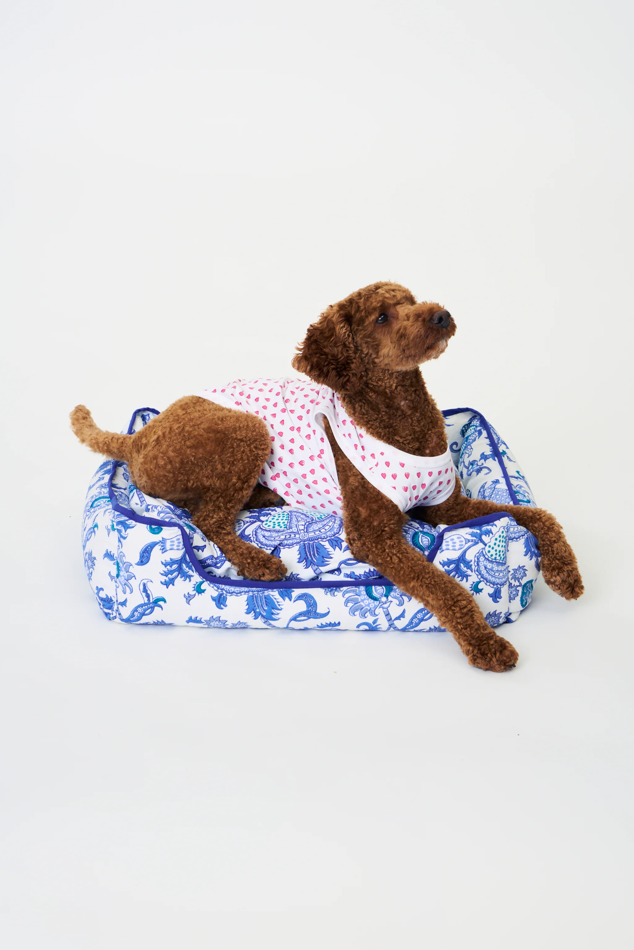 Hearts Dog Pajamas - Image 4